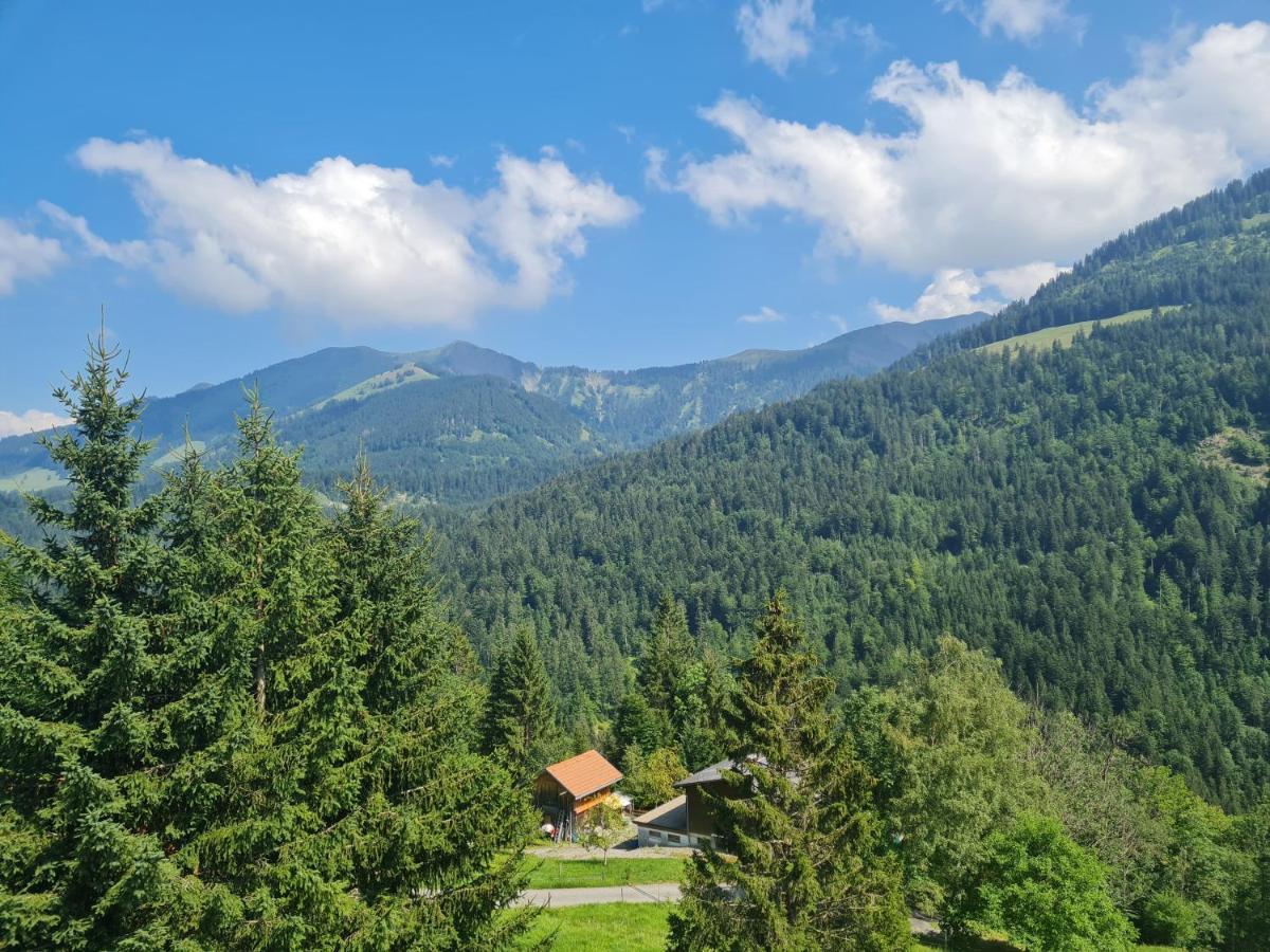 Appartement Melinda Ebnit Dornbirn Bagian luar foto