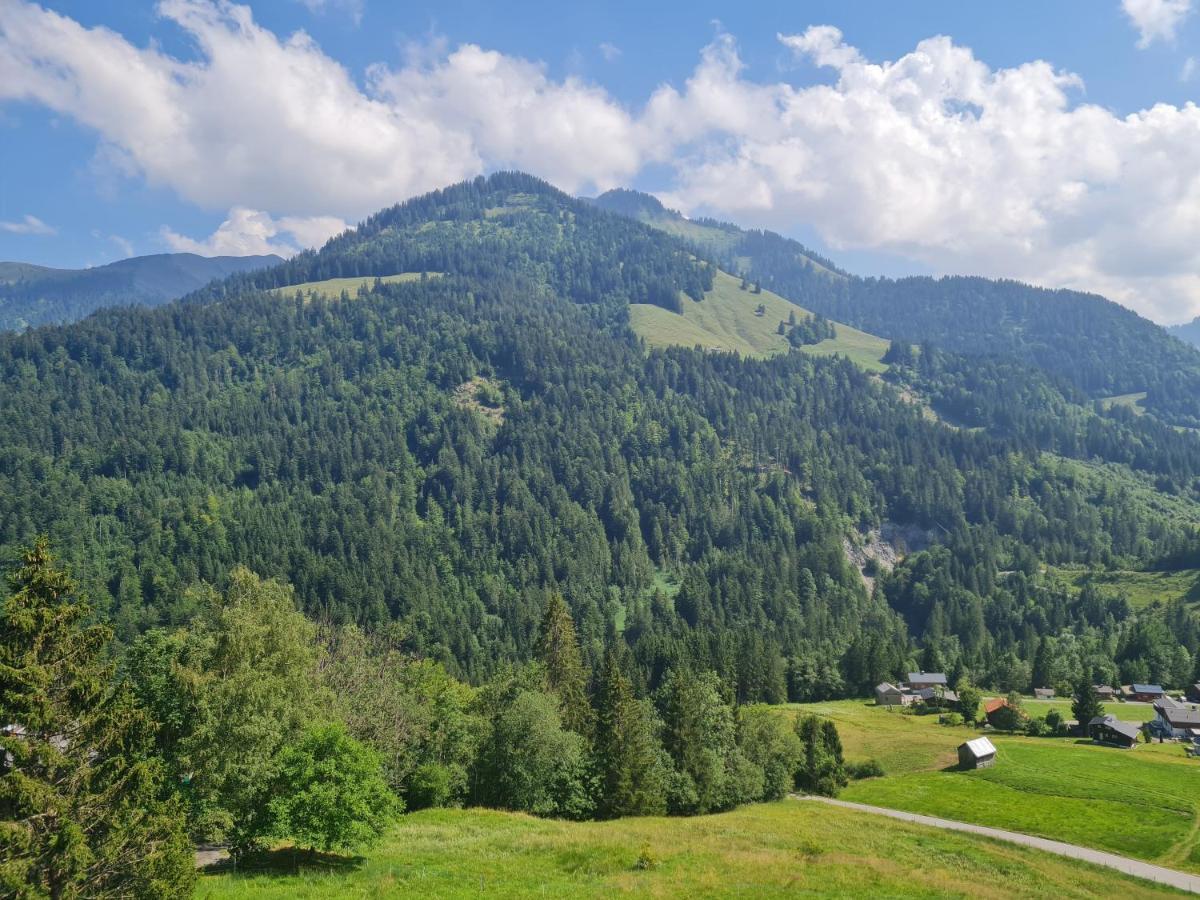 Appartement Melinda Ebnit Dornbirn Bagian luar foto