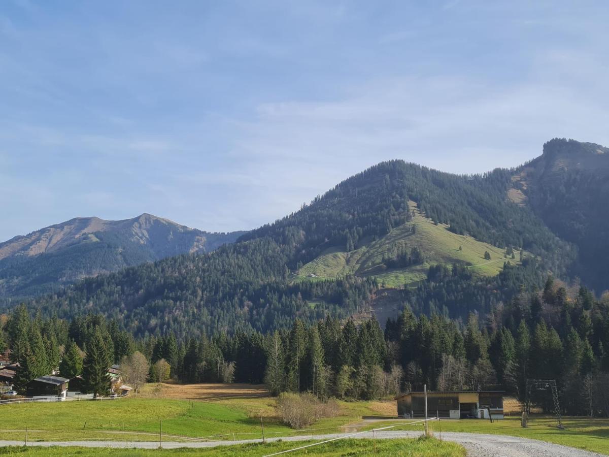Appartement Melinda Ebnit Dornbirn Bagian luar foto